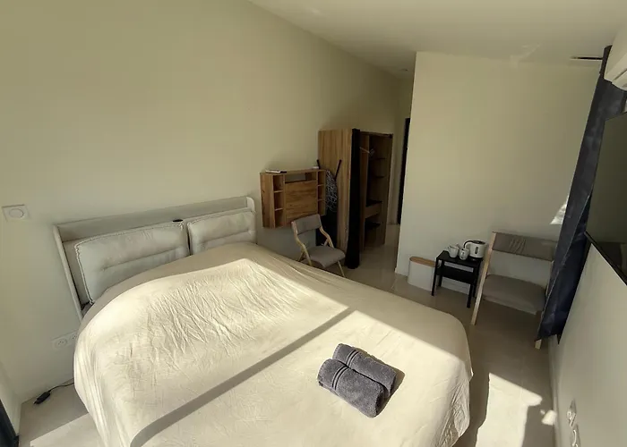 Neuf Avec Jardin Climatisation Smart Tv, Nantes